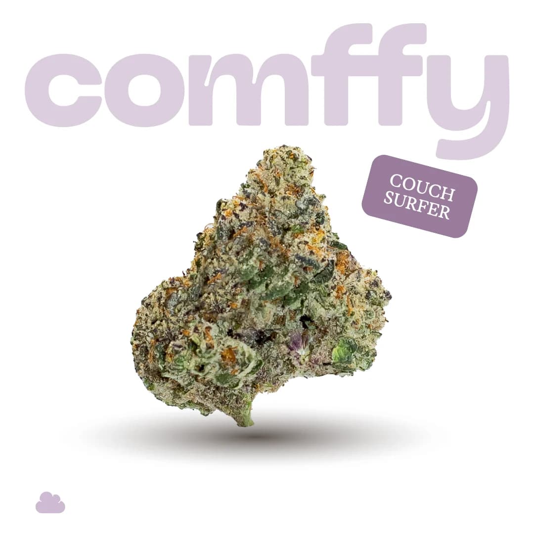Comffy Couch Surfer (I) Flower C0140000258