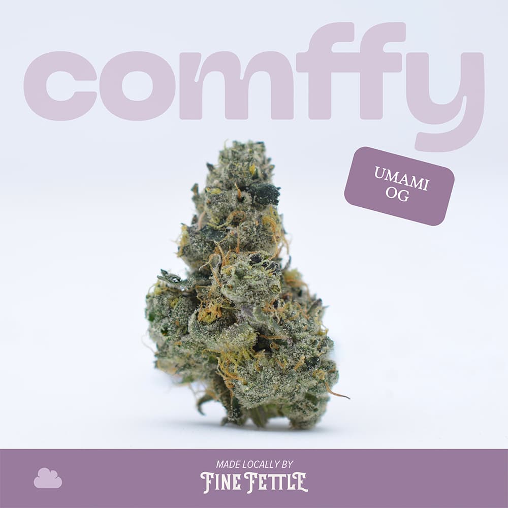 Comffy Umami OG (I) Flower C0140000261