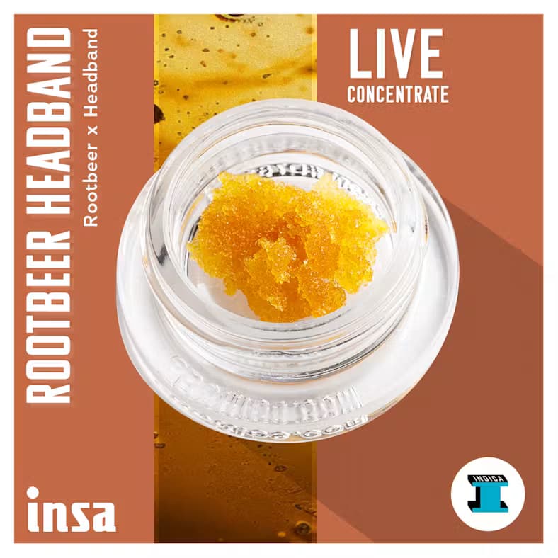 Insa Live Sugar - Rootbeer Headband