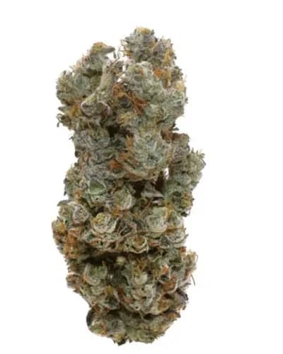 Victoria Cannabis Company Victoria Cannabis Company : Helium
