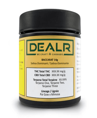 DEALR Baccarat by DEALR - Baccarat