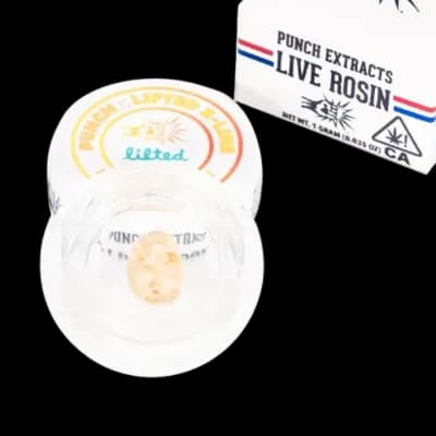 PUNCH Mimosa Live Rosin Badder (Tier 4) 1g