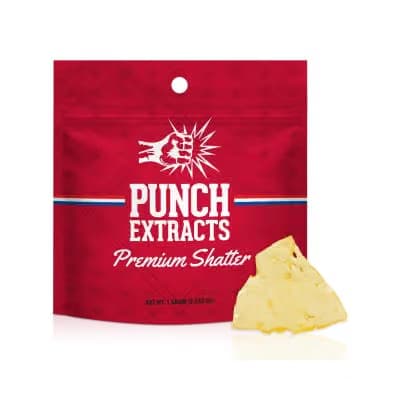 Punch Edibles & Extracts Pineapple Louie | 1g BHO Shatter