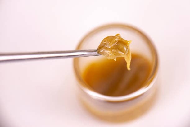 HBC Blueberry - 1g - Wax