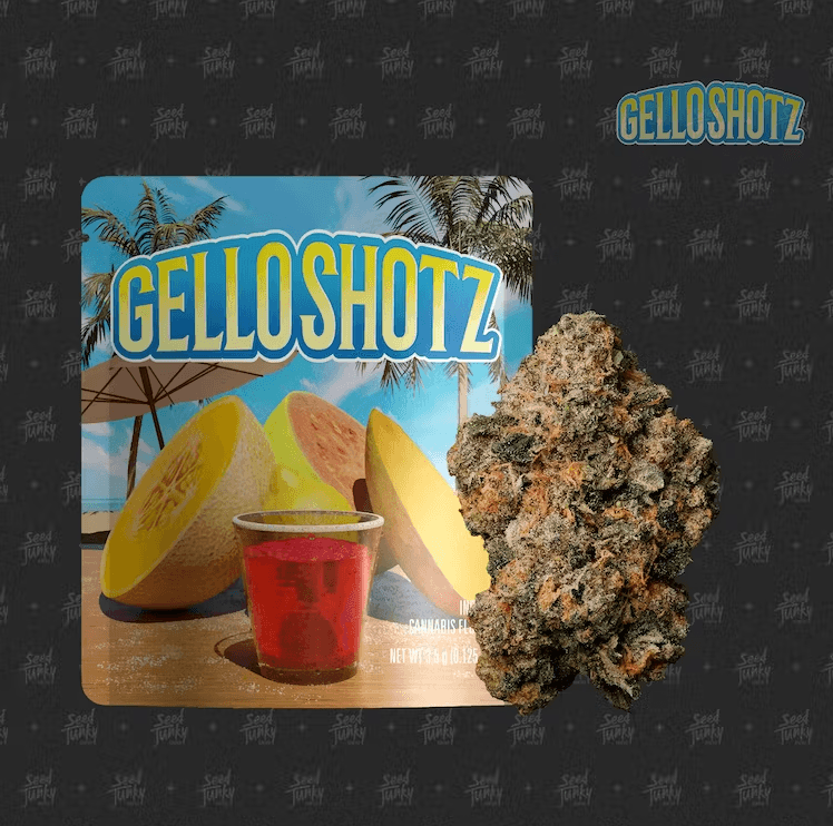 Seed Junky Flower 3.5G | S | Gello Shotz