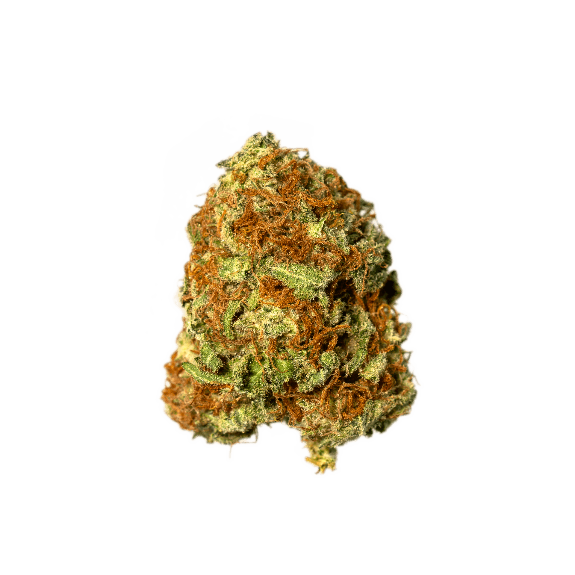 Bloom Montana Marshmellow (14G)-Silver