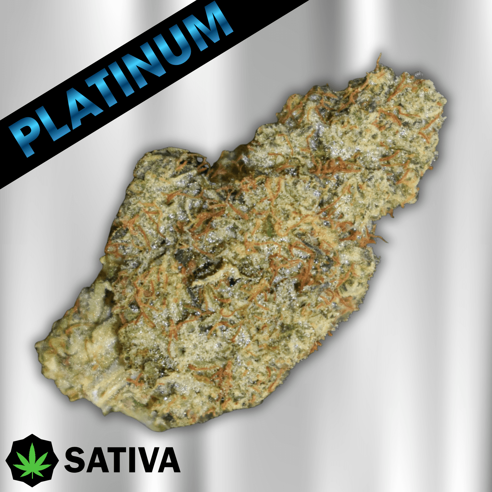 Bloom Montana Pineapple Jack (7G)-Platinum