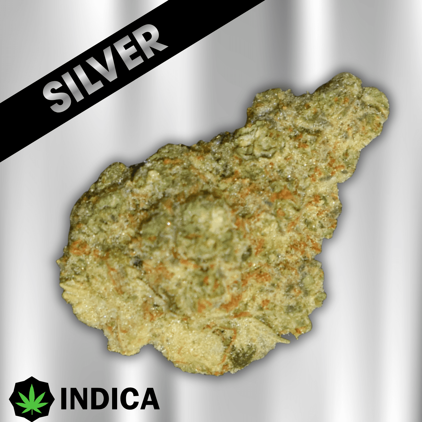 Bloom Montana Instagram (1G)-Silver