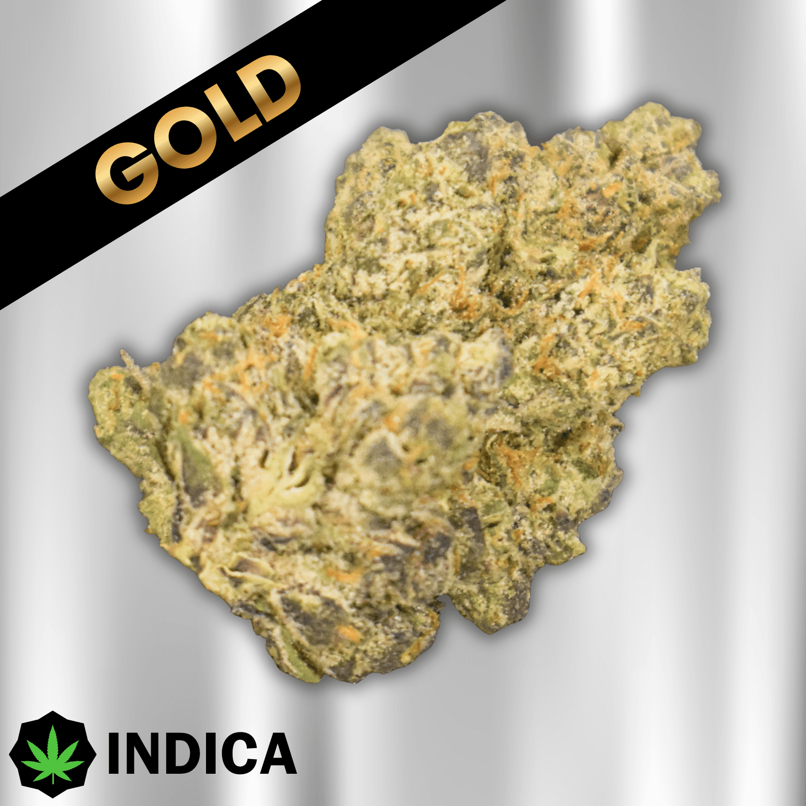 Bloom Montana Meathead (1G)-Gold
