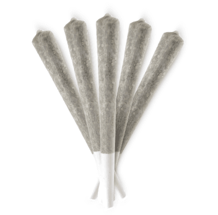 Terra Labs TERRA FARMS-GALACTIC GUAVA PR-5X0.5G