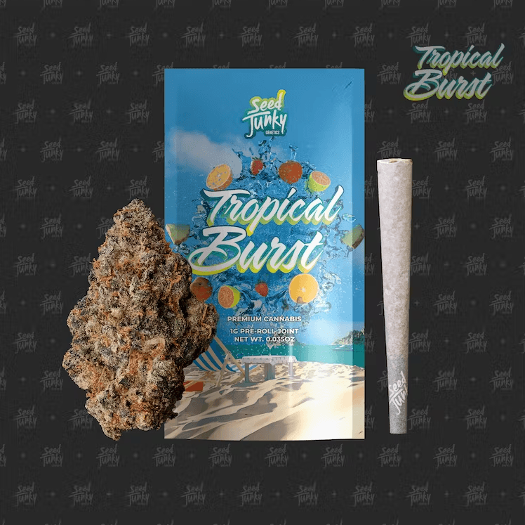 Seed Junky Tropical Burst - - 4pk