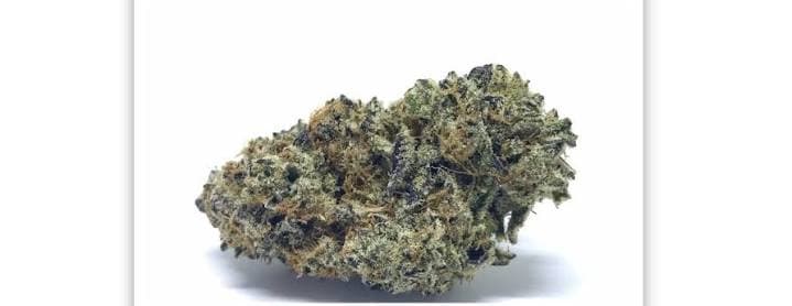 Vlasic Labs Vlasic Disco Funk 3.5g Prepack