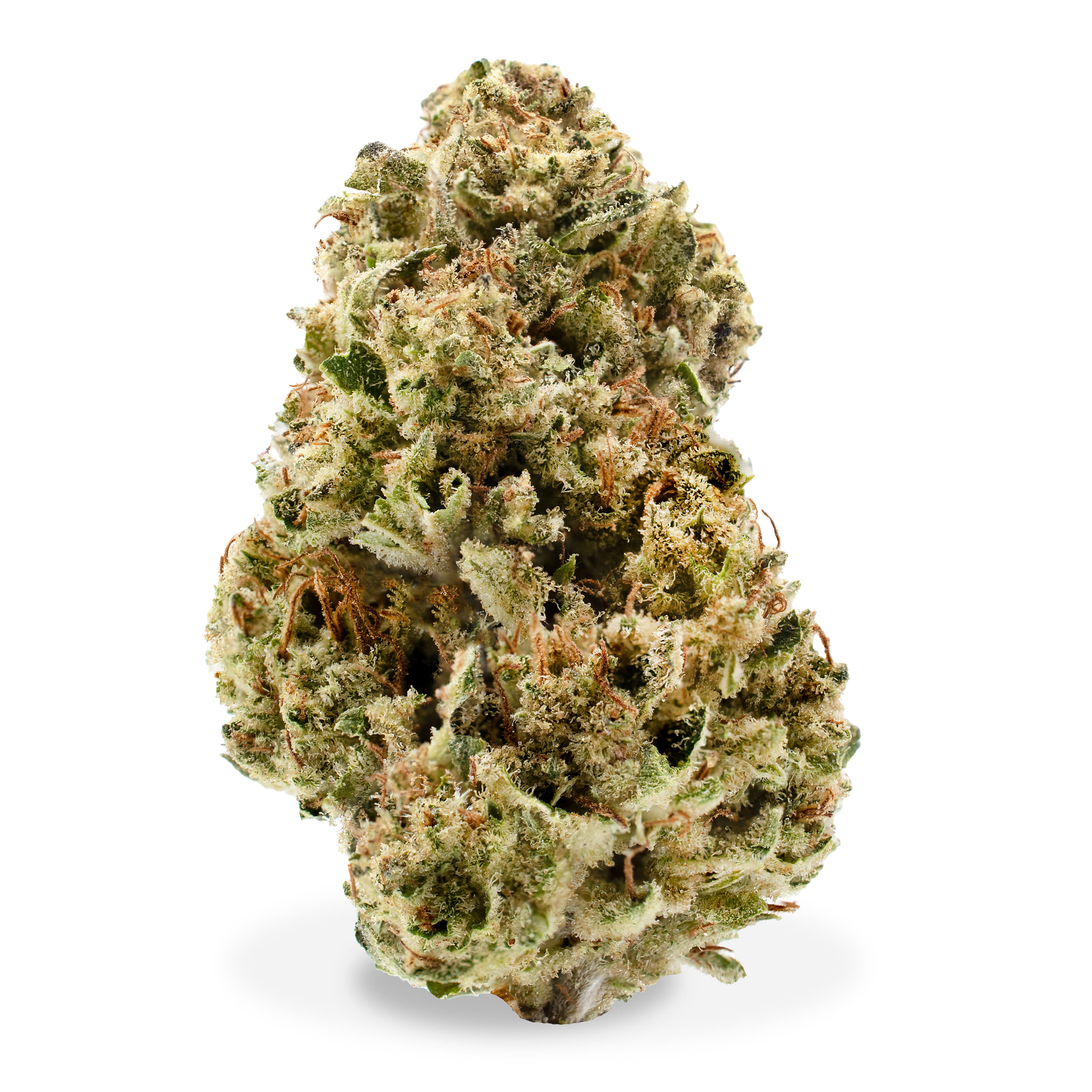 Alter Farms