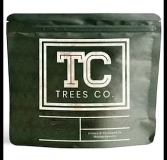 Trees Co Melonade Gibson (S) Mini Buds | Trees Co.