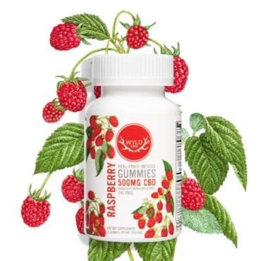 Wyld CBD Raspberry CBD Gummies