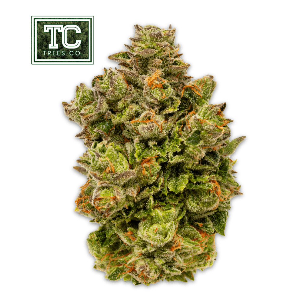 Trees Co Citrus Rush | 3.5g Flower