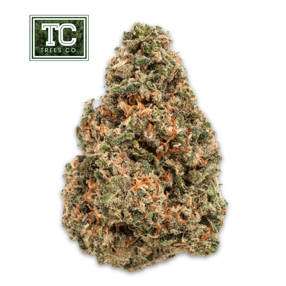 Trees Co Ghost Dawg | 3.5g