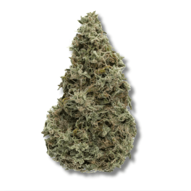 Trees Co Flower