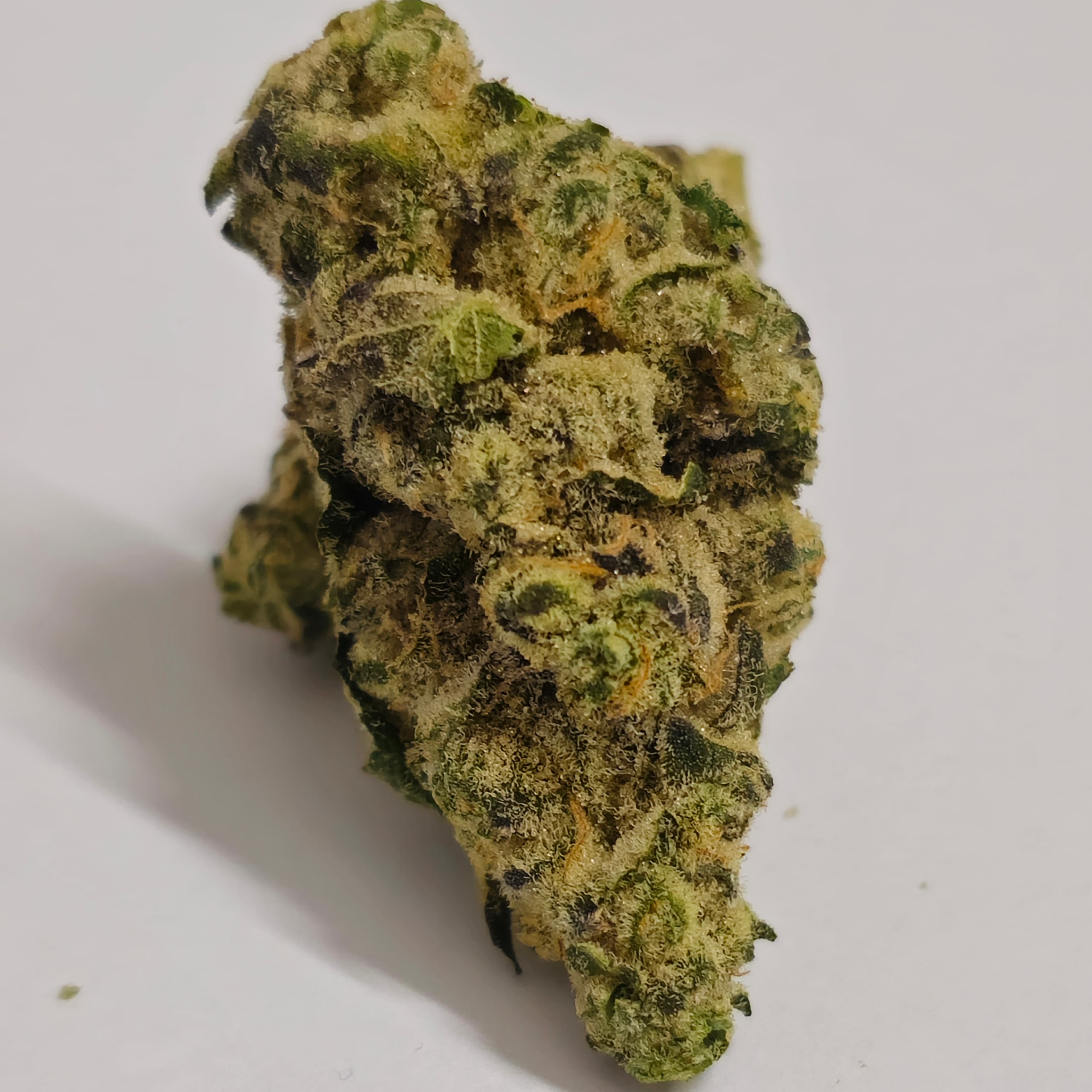Cresco Premium