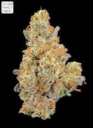 SOUR FAMILY FARM