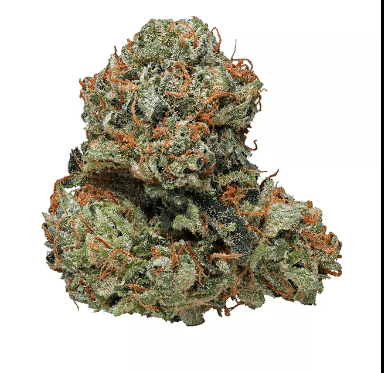 River Driver Cannabis Co Motorbreath