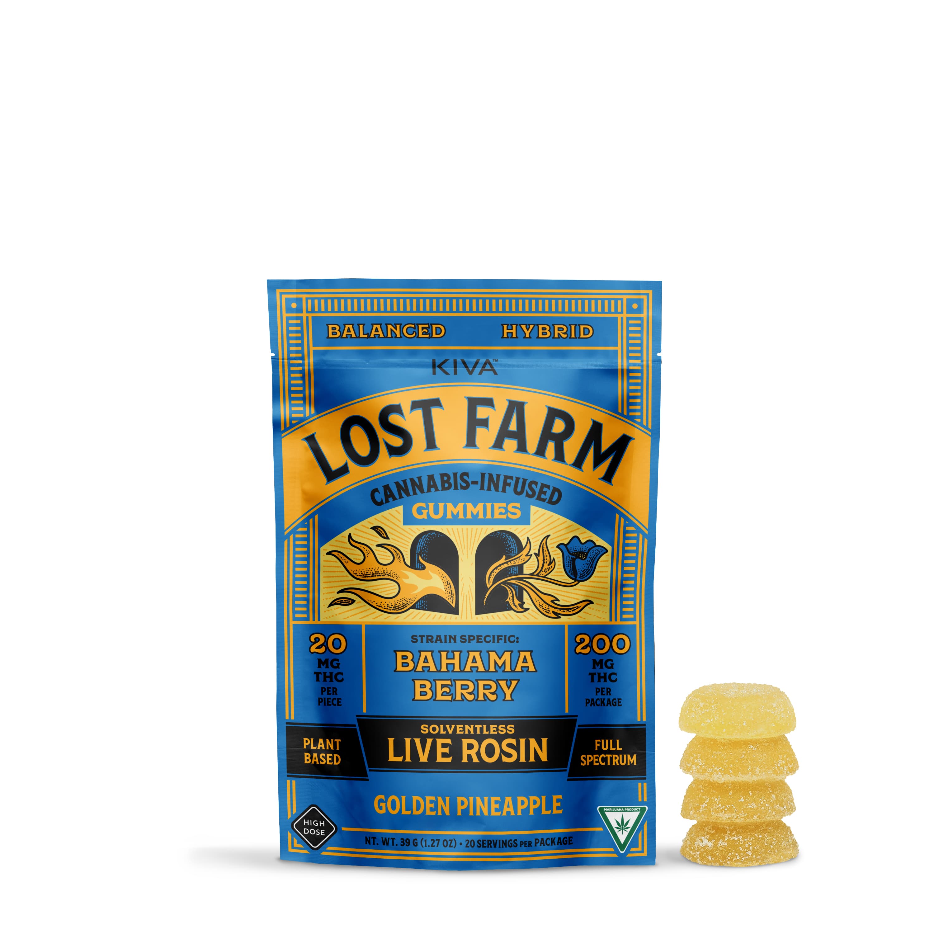 Lost Farm