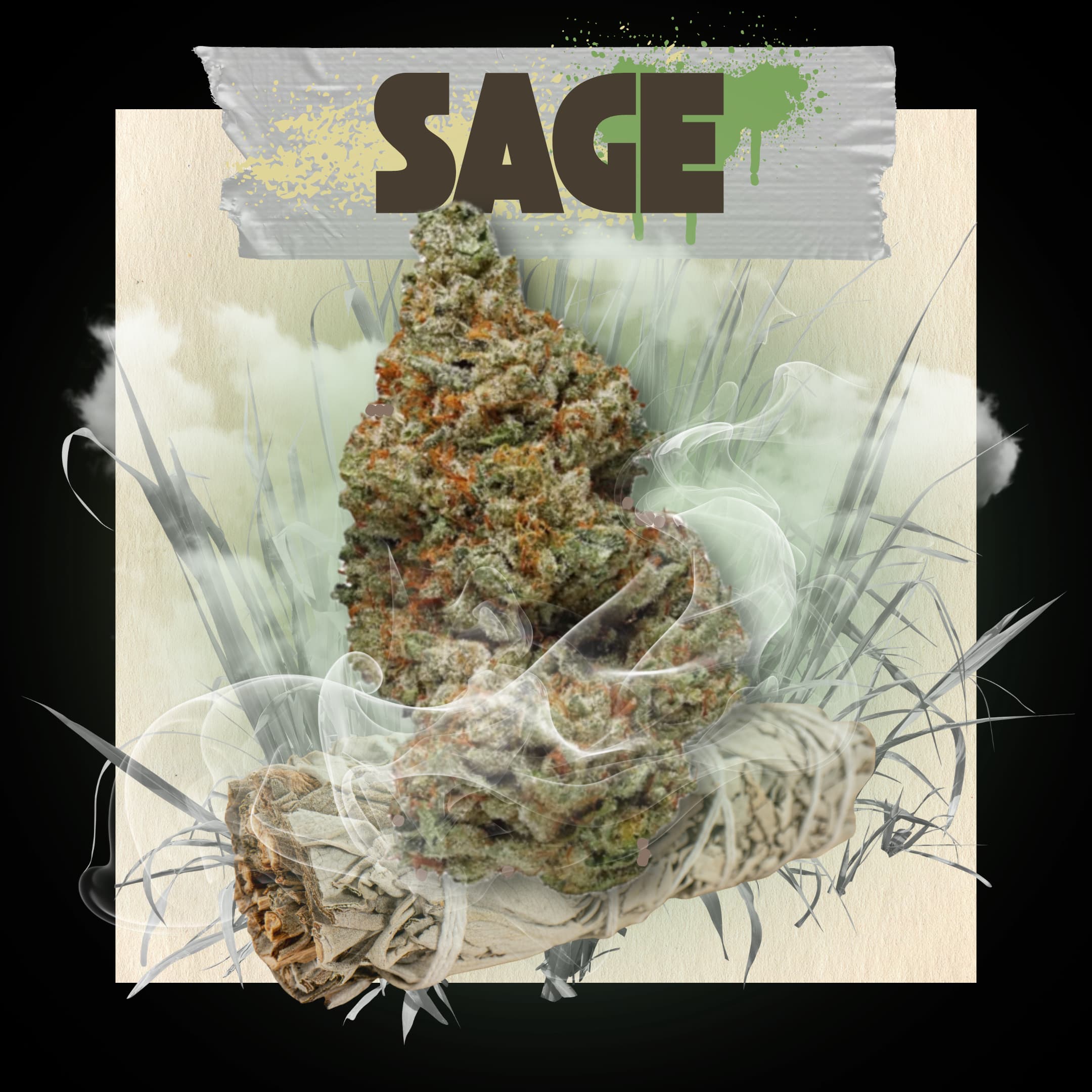 Belushi's Farm Sage