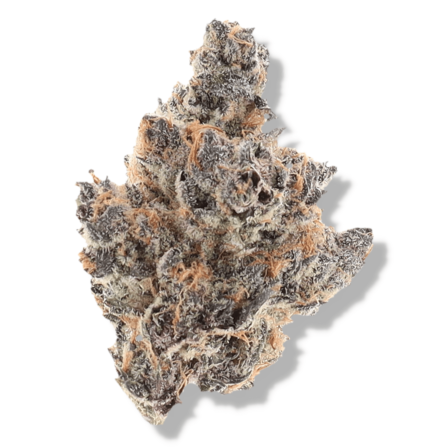 PANDA CANNABIS