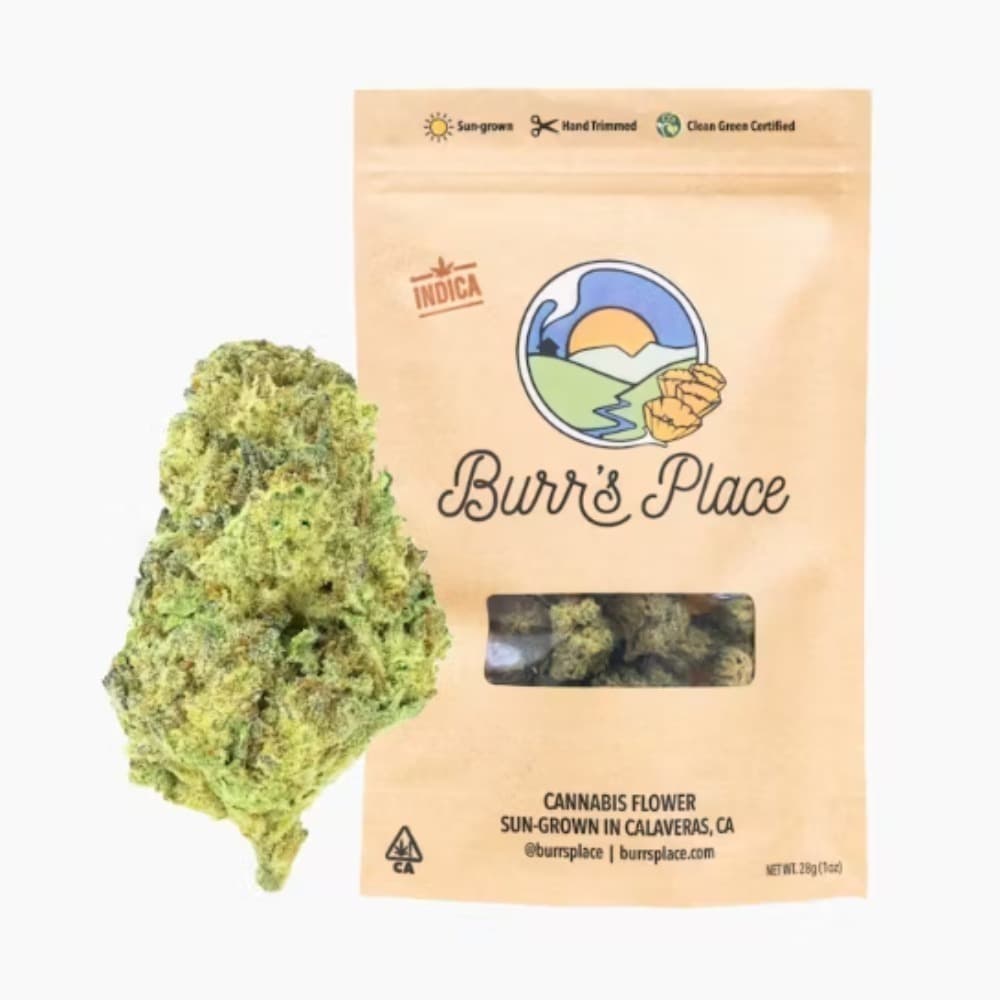 Burr's Place