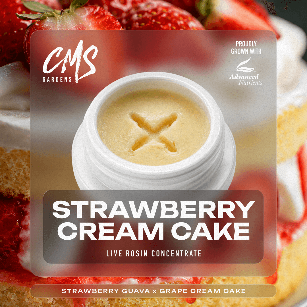 CMS Gardens Strawberry Cream Cake