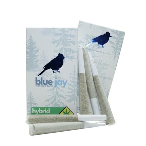 Blue Jay