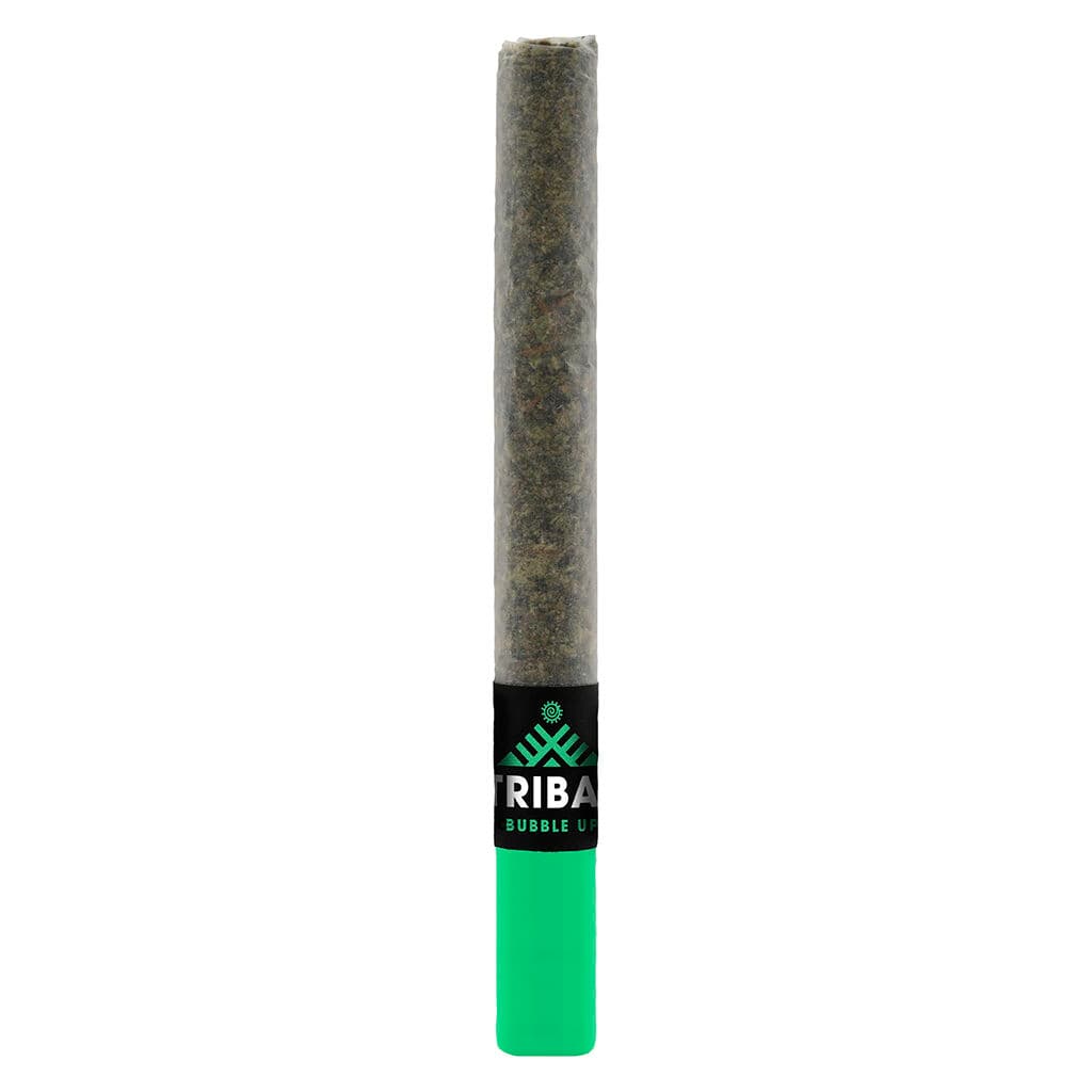 TRIBAL 1x1g