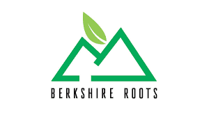 Berkshire Roots Runtz Pre-Roll | 1g