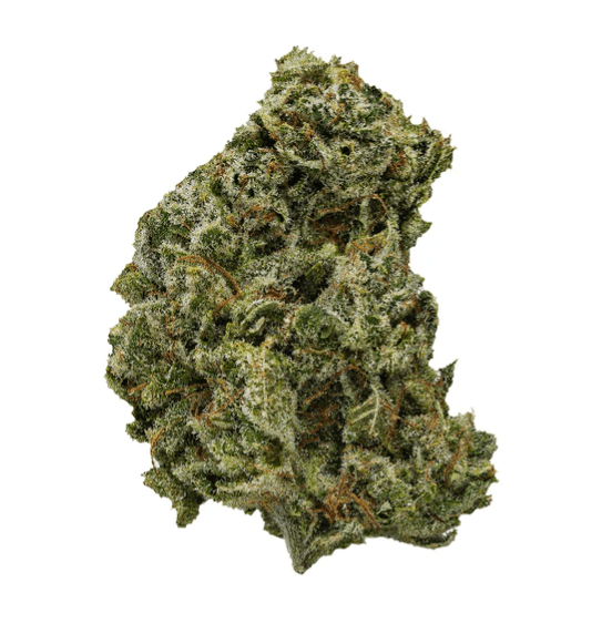Versus SOUR DUBB