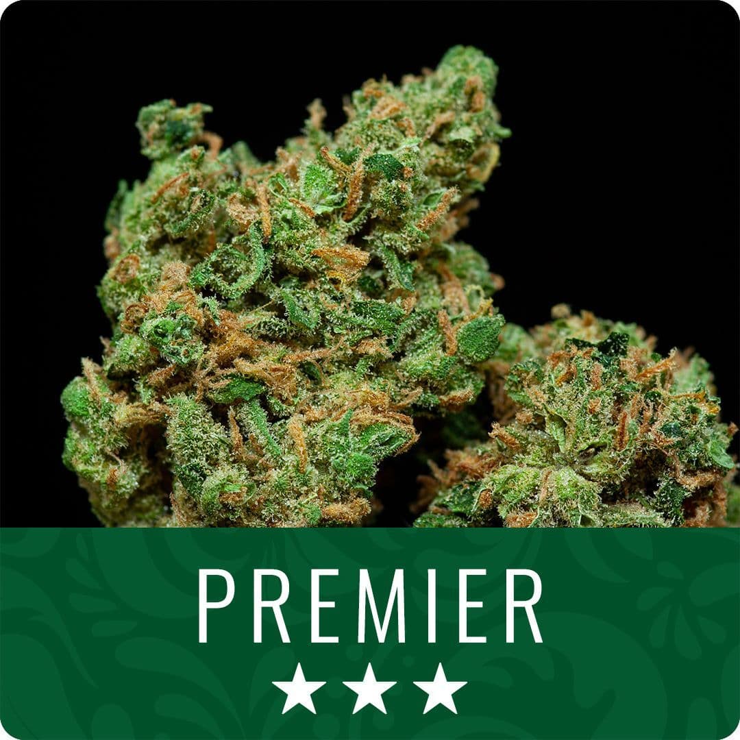 Prime Farms Trop Cherry