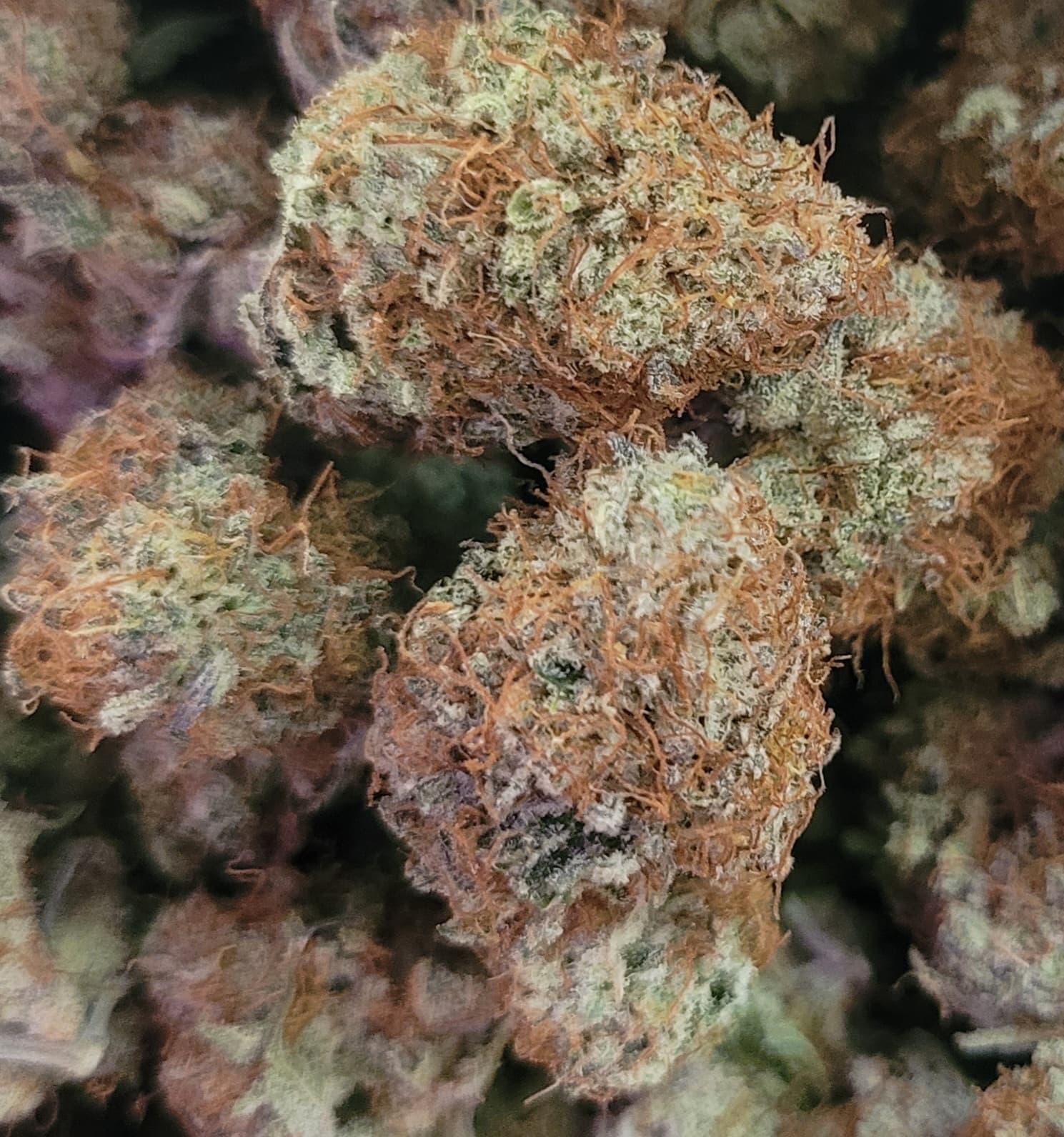 Pinnacle Valley Farms