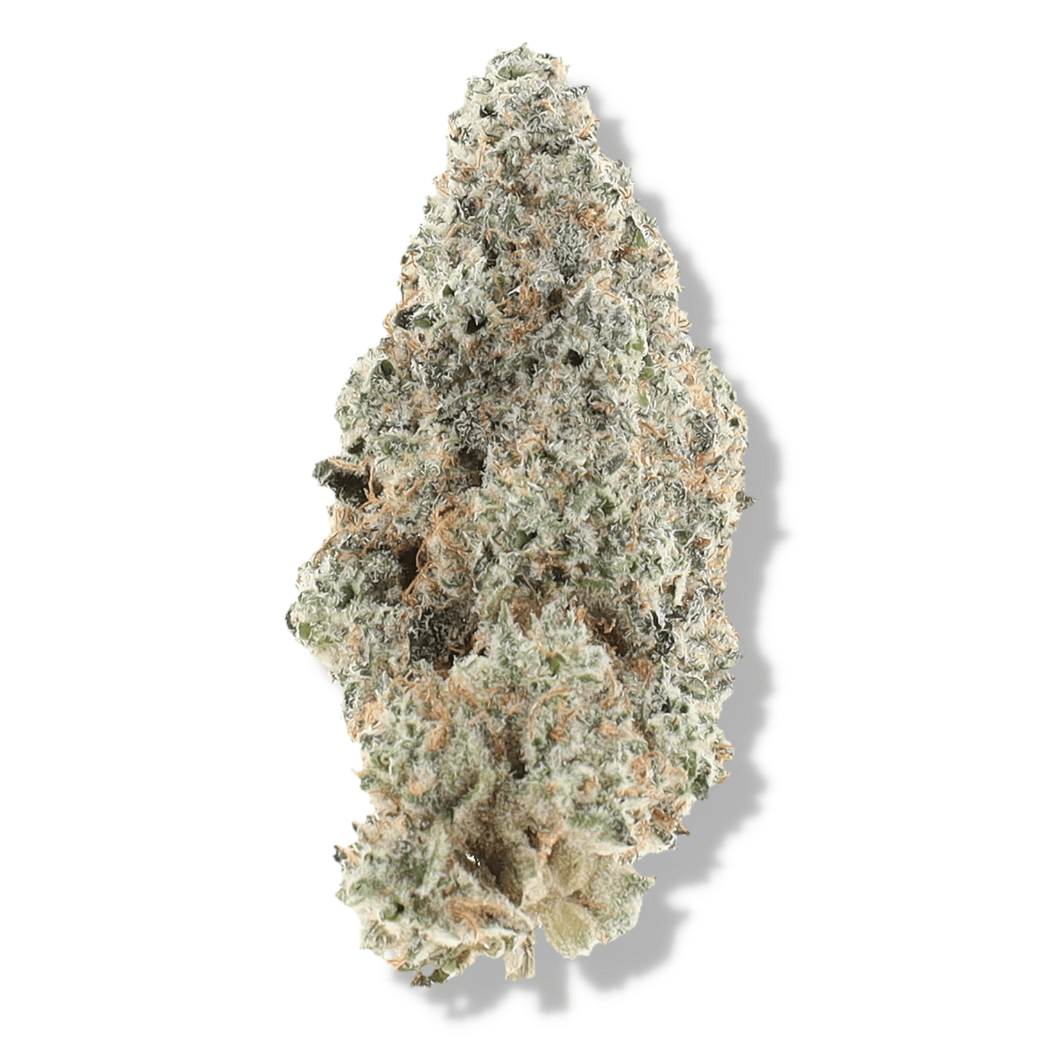 Craft Leaf