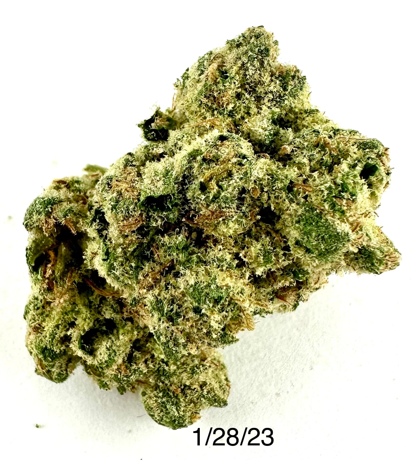 Prohibition 37 P37 - Fruit Pie