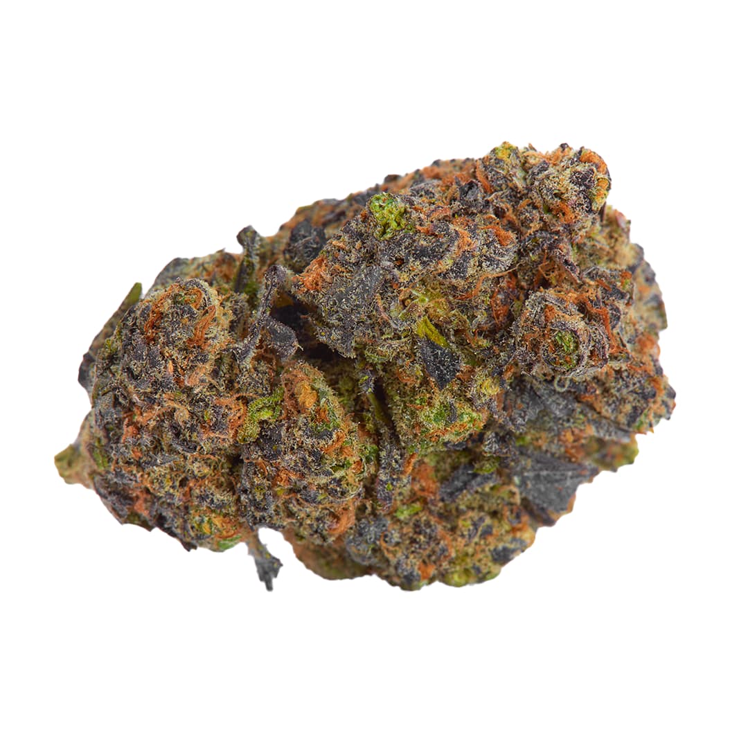 Studio Farms NY Studio Farms G41 x Grape Gas