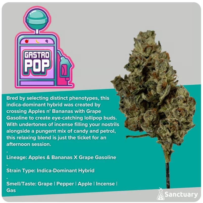 Sanctuary Medicinals Gastro Pop - 28g