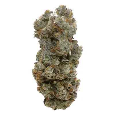 Victoria Cannabis Company Victoria Cannabis Company : Helium