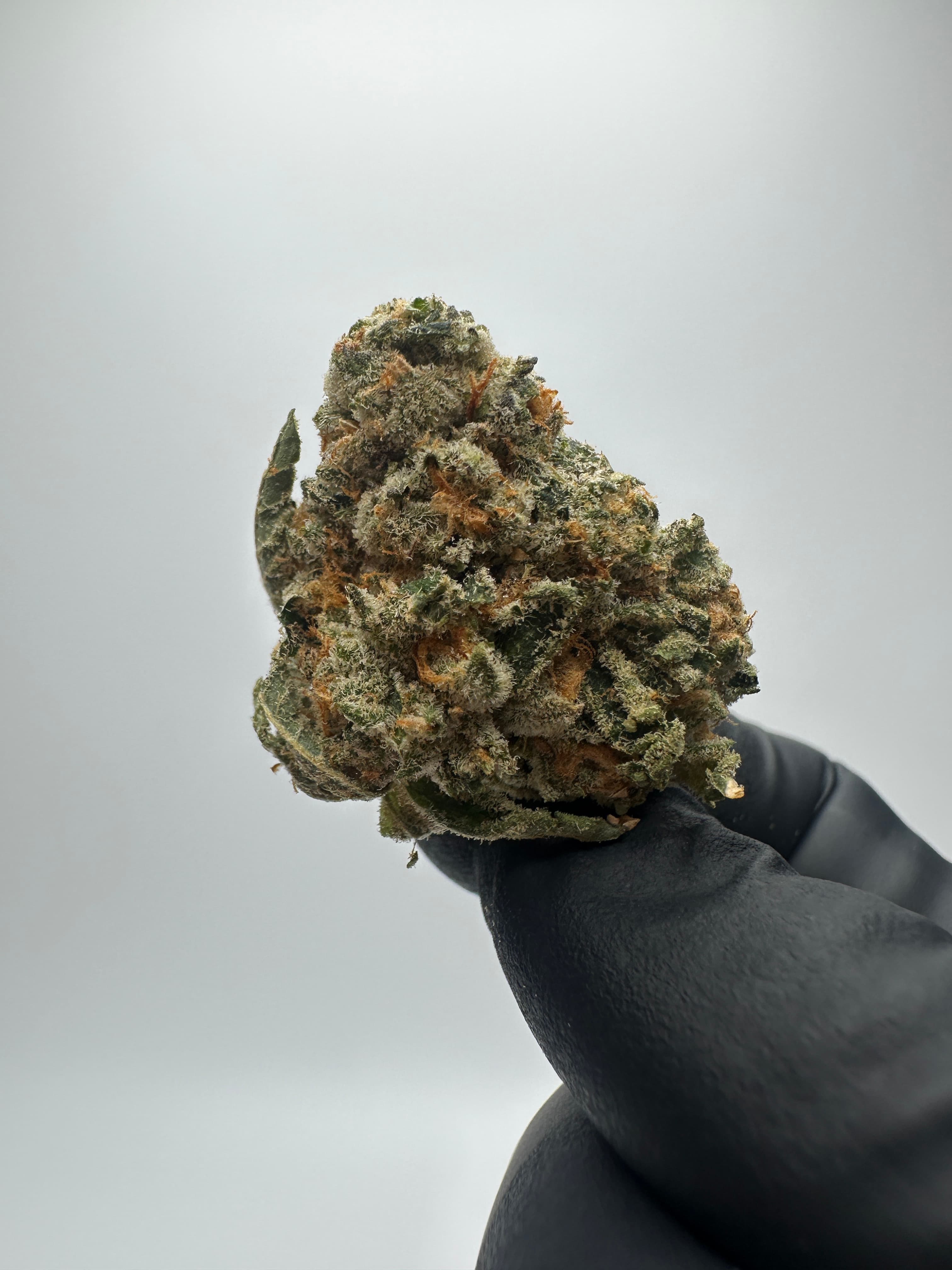 Big Sioux Bud Pablo Driver C Buds