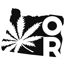 Oregon Roots Pineapple Mojito - Shatter - Oregon Roots