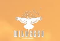 Wildseed Sherbert Concentrates