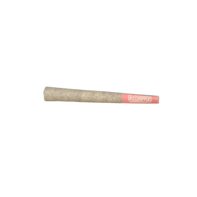 GRASSHOPPERS Berries | 1g Infused Preroll