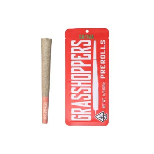 GRASSHOPPERS Fruit Punch | 1g Infused Preroll