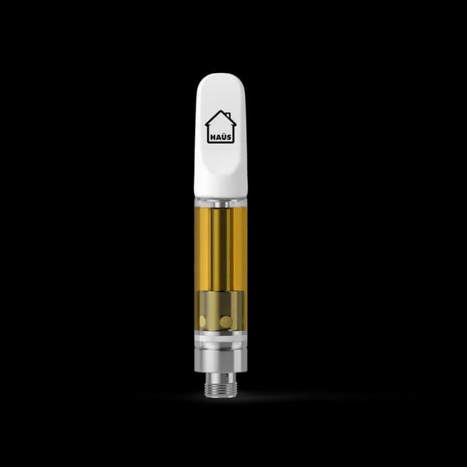 Haus Juicy Blueberry - Distillate
