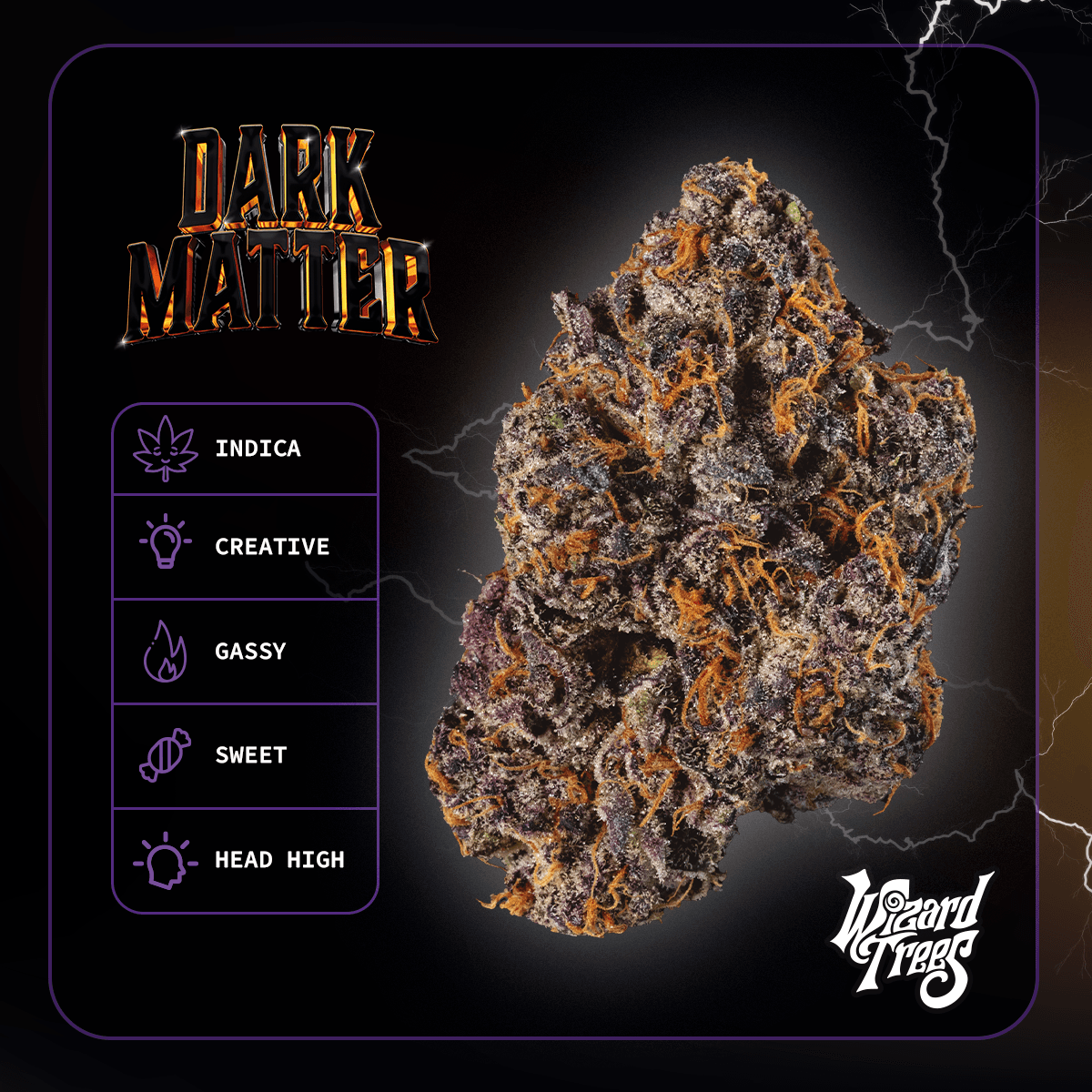 Wizard Trees Wizard Trees Dark Matter