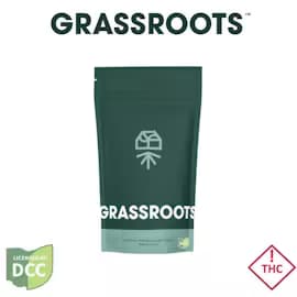 Grassroots Bomboloni