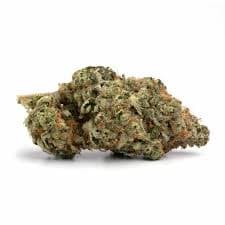 Canna Stix Sherbert Creamsicle